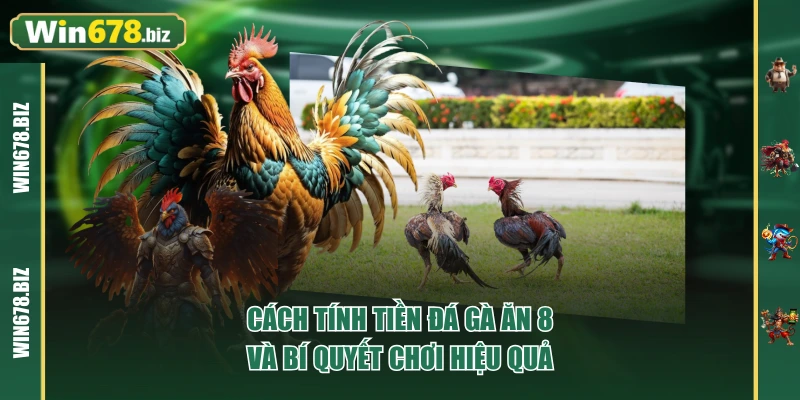 Cách Tính Tiền Đá Gà Ăn 8 Và Bí Quyết Chơi Hiệu Quả