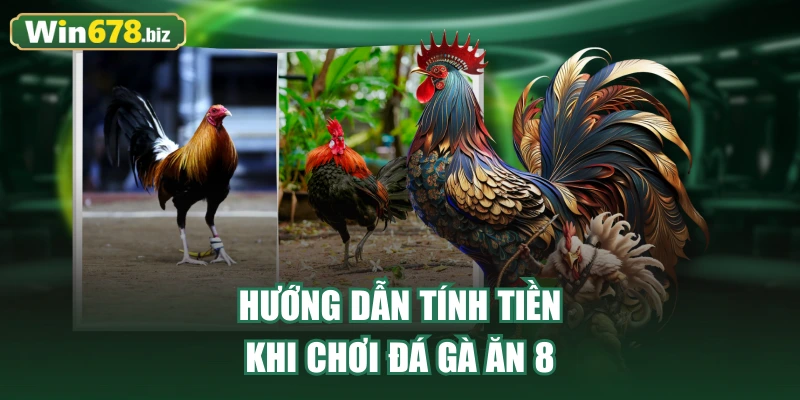 Hướng dẫn tính tiền khi chơi đá gà ăn 8