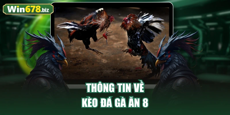 Thông tin về kèo đá gà ăn 8