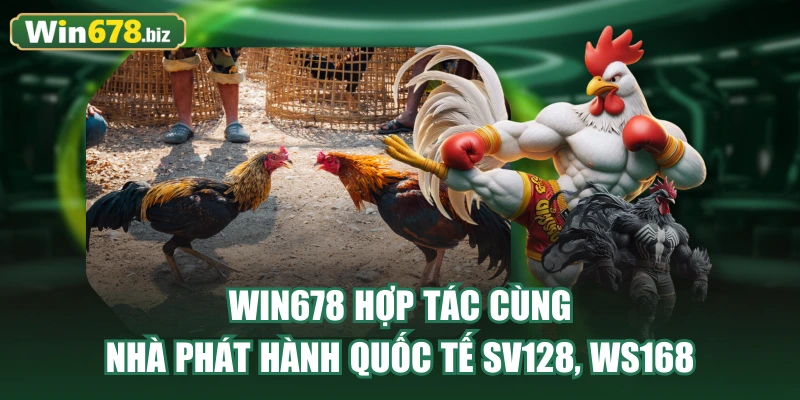 WIN678 hợp tác cùng nhà phát hành quốc tế SV128, WS168